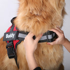 Köpek Göğüs Tasması İSİMLİ 28219358