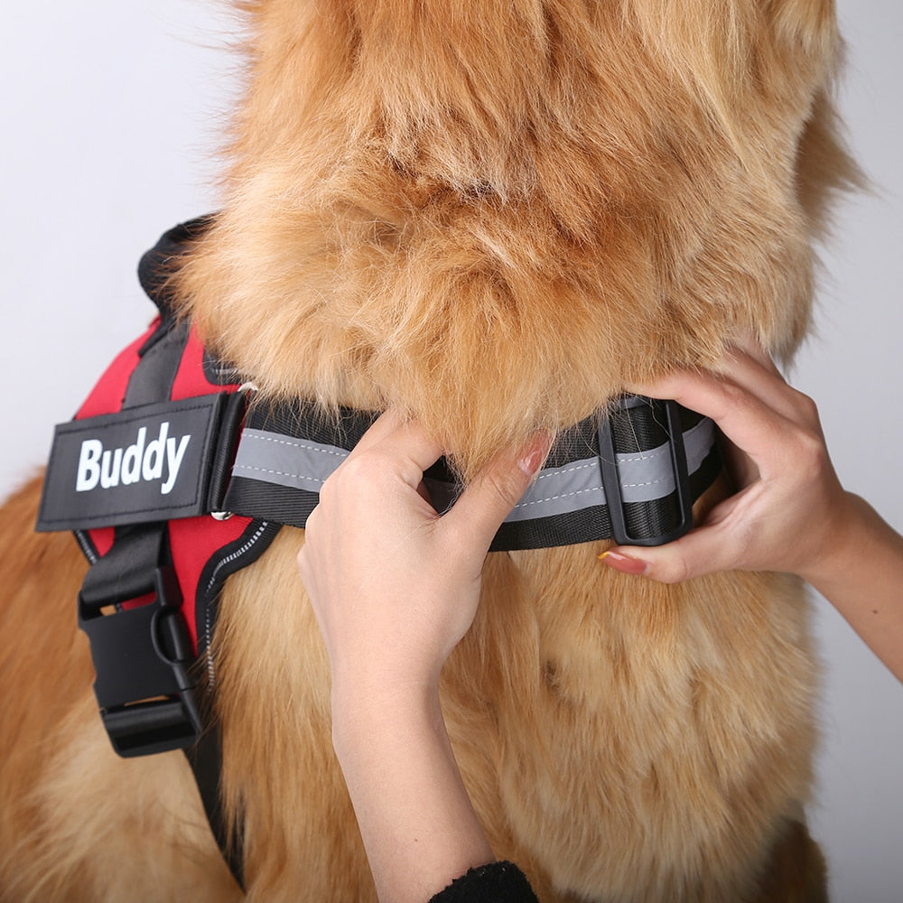 Köpek Göğüs Tasması İSİMLİ 28219358