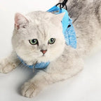Kedi Göğüs Tasması ve Kayış Seti 88598
