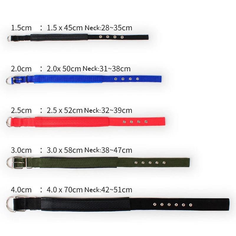 Köpek Tasması 96108