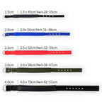 Köpek Tasması 96108