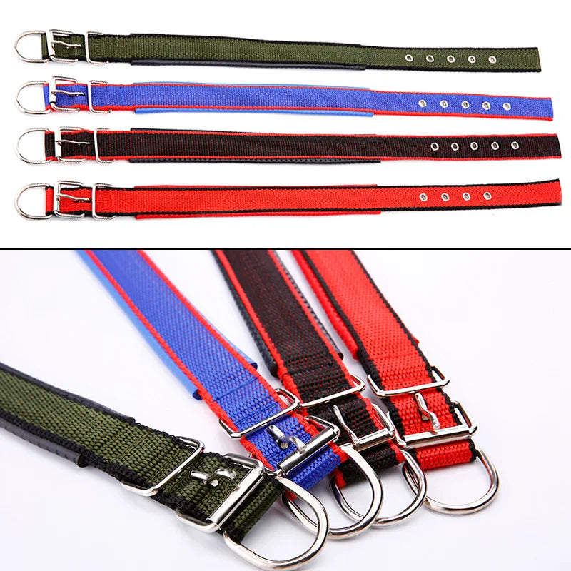 Köpek Tasması 96108