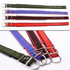 Köpek Tasması 96108