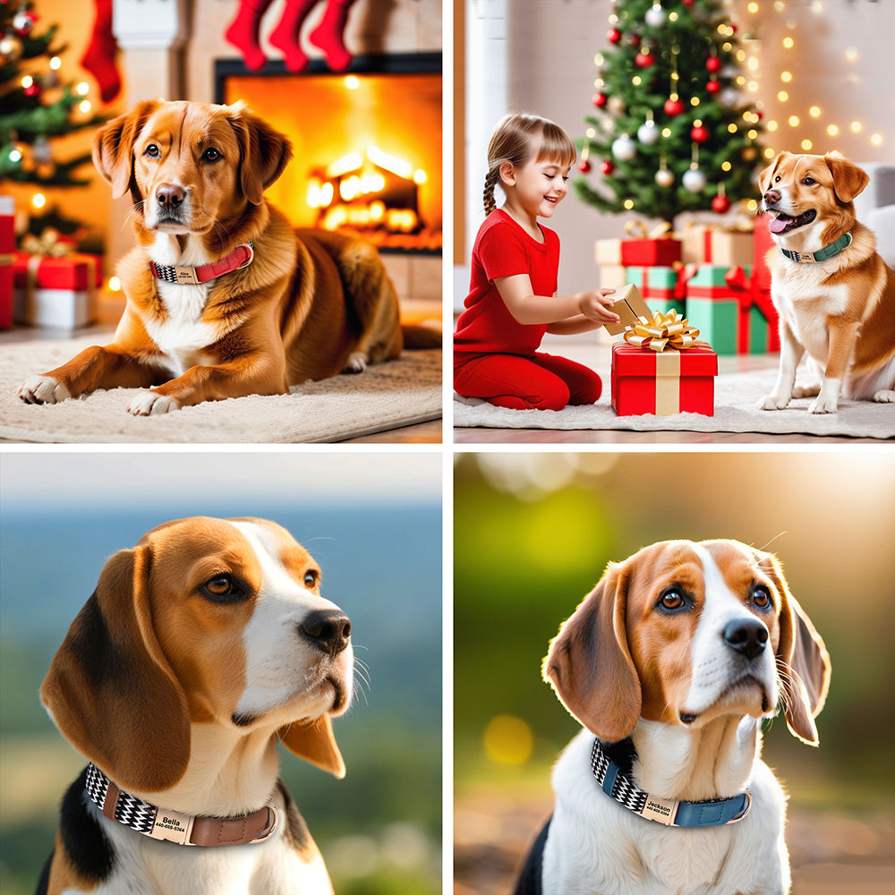 İsimli Köpek Tasması İsimli Deri Boyun Tasması 