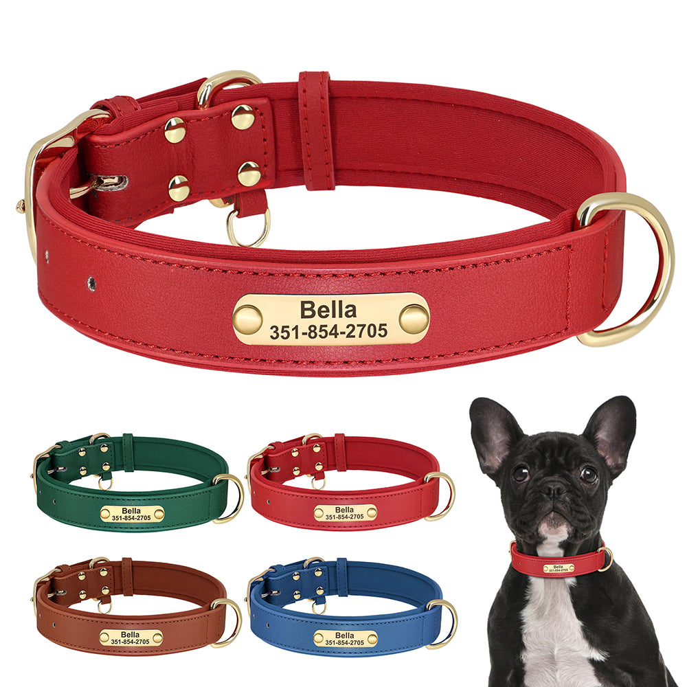 Köpek Tasması 