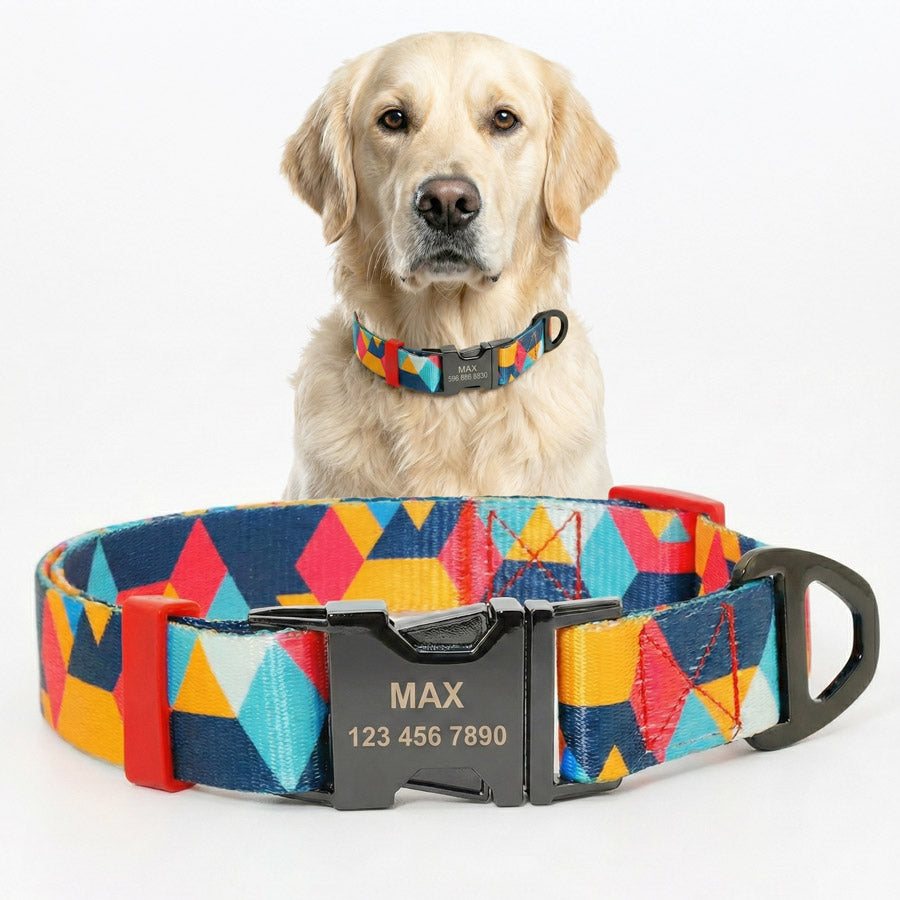 Geometrik Desenli Köpek Tasması 24344