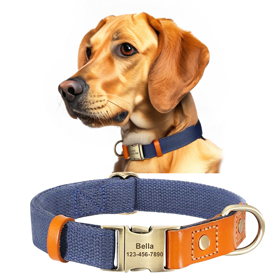 İsimli Köpek Tasması Boyun Tasması 446925