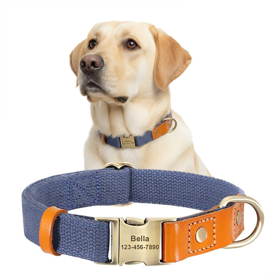 İsimli Köpek Tasması Boyun Tasması 446925