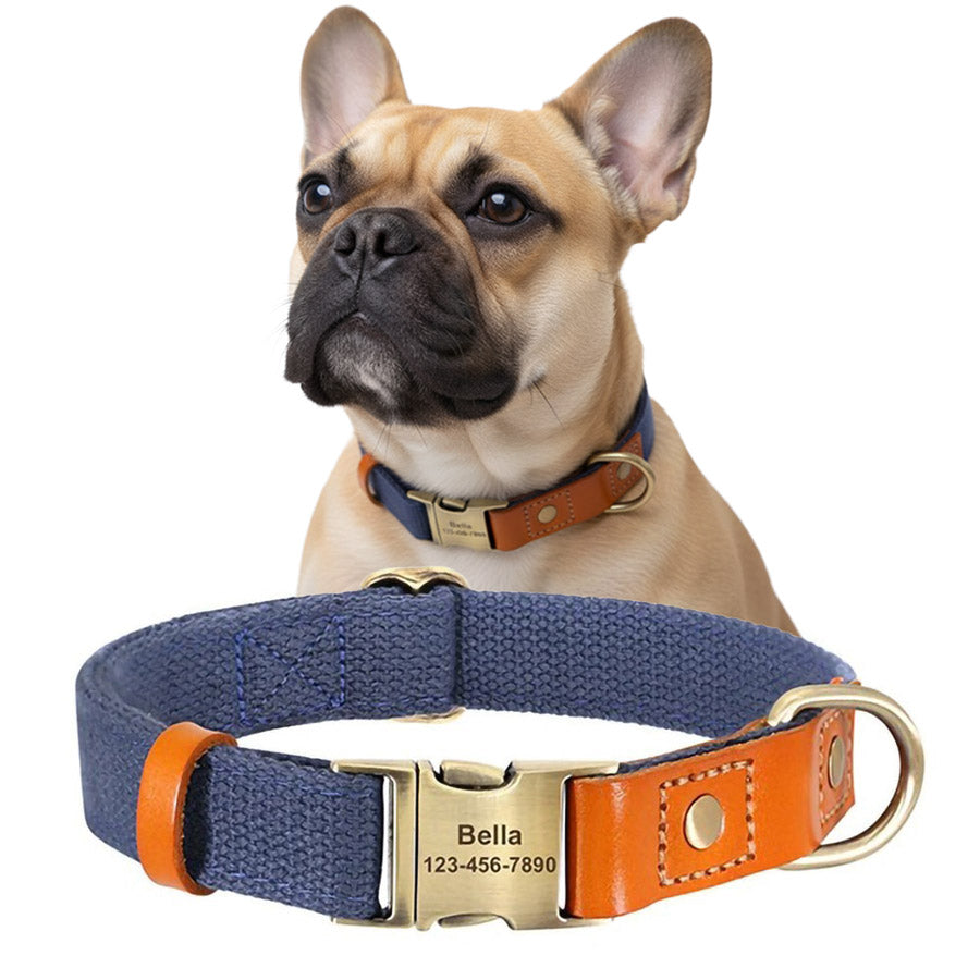 İsimli Köpek Tasması Boyun Tasması 446925