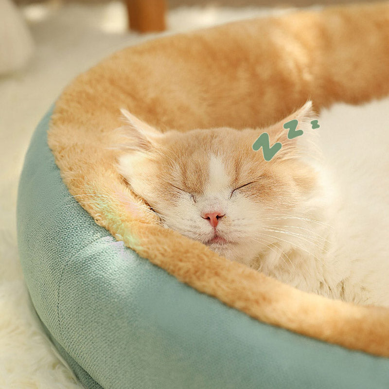 Kedi Yatağı 523823