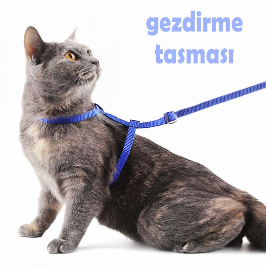 Kedi Gezdirme Tasması SET 49469