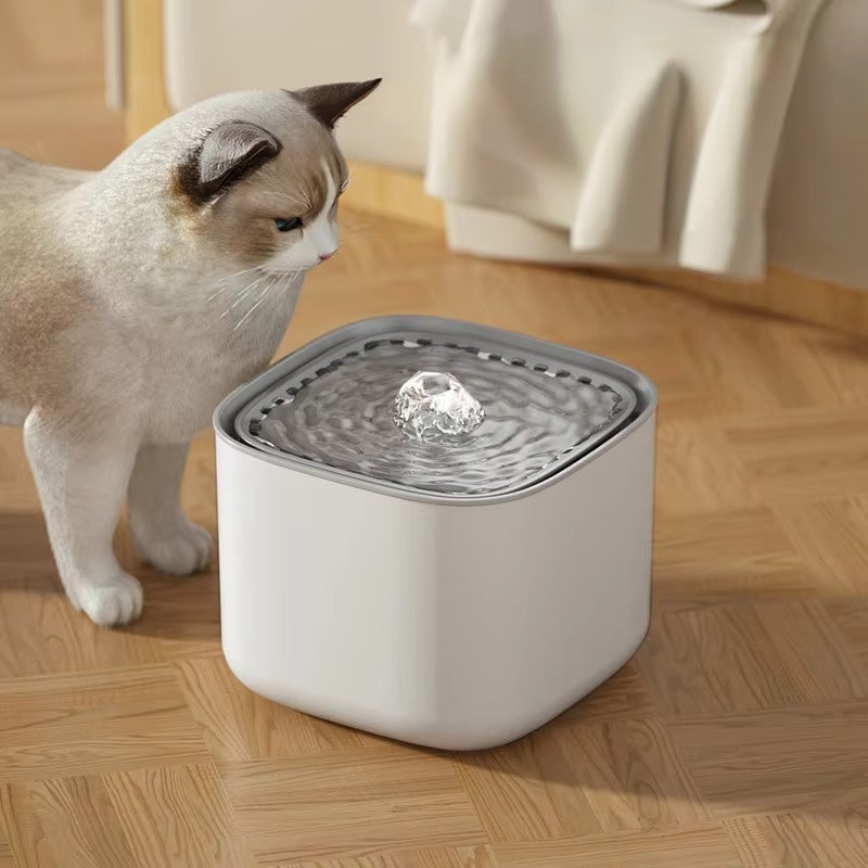 Kedi Su kabı 76424