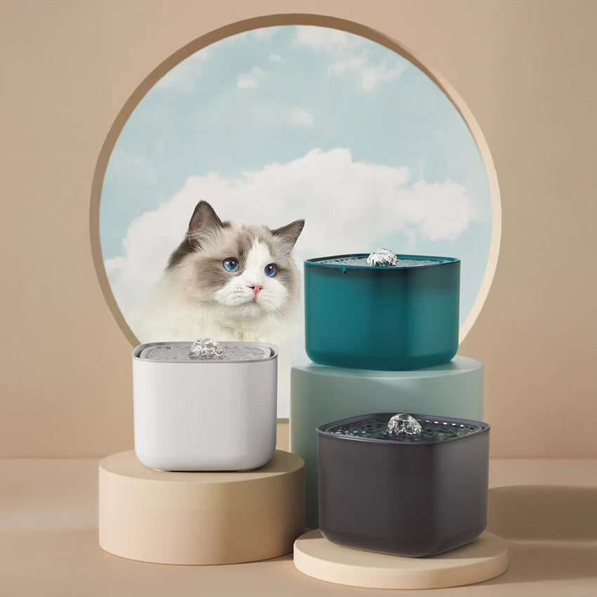 Kedi Su kabı 76424