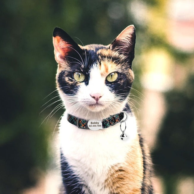 Kedi Tasması isimli ve Zilli Tasma 87798813