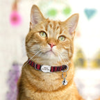 Kedi Tasması isimli ve Zilli Tasma 87798813