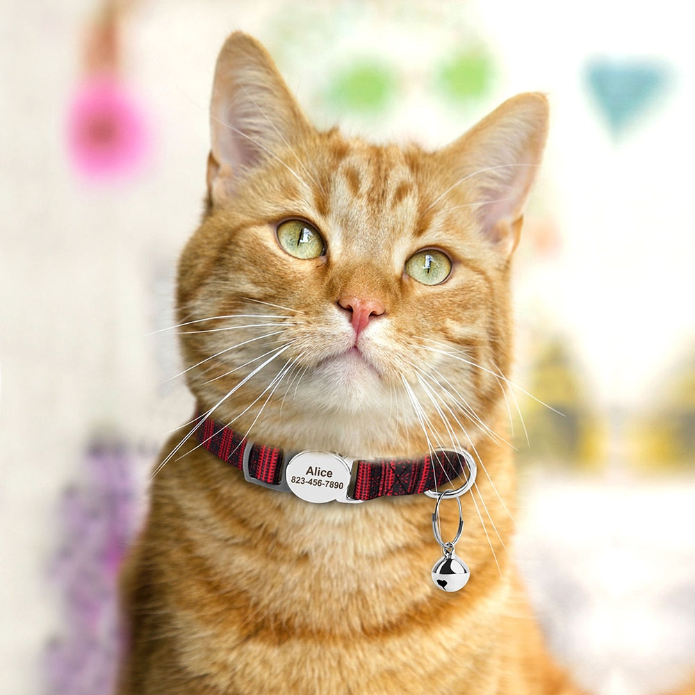 Kedi Tasması isimli ve Zilli Tasma 87798813