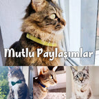 Kedi tasması Kadife İsimli Zilli 40068