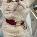 Kedi tasması İsimli Zilli Kedi boyun tasması 745094