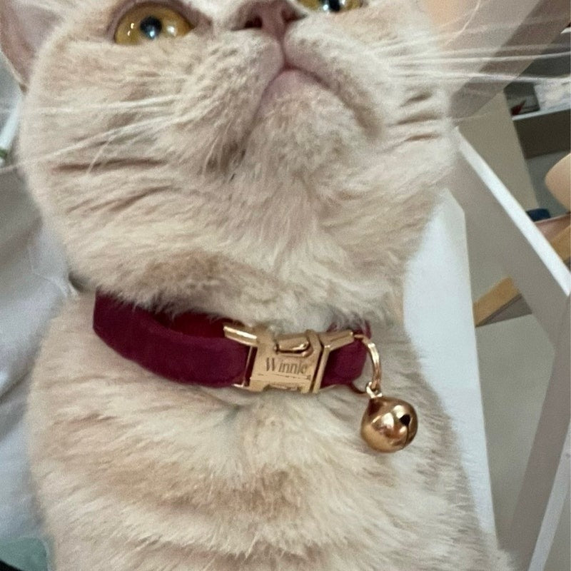 Kedi tasması İsimli Zilli Kedi boyun tasması 745094