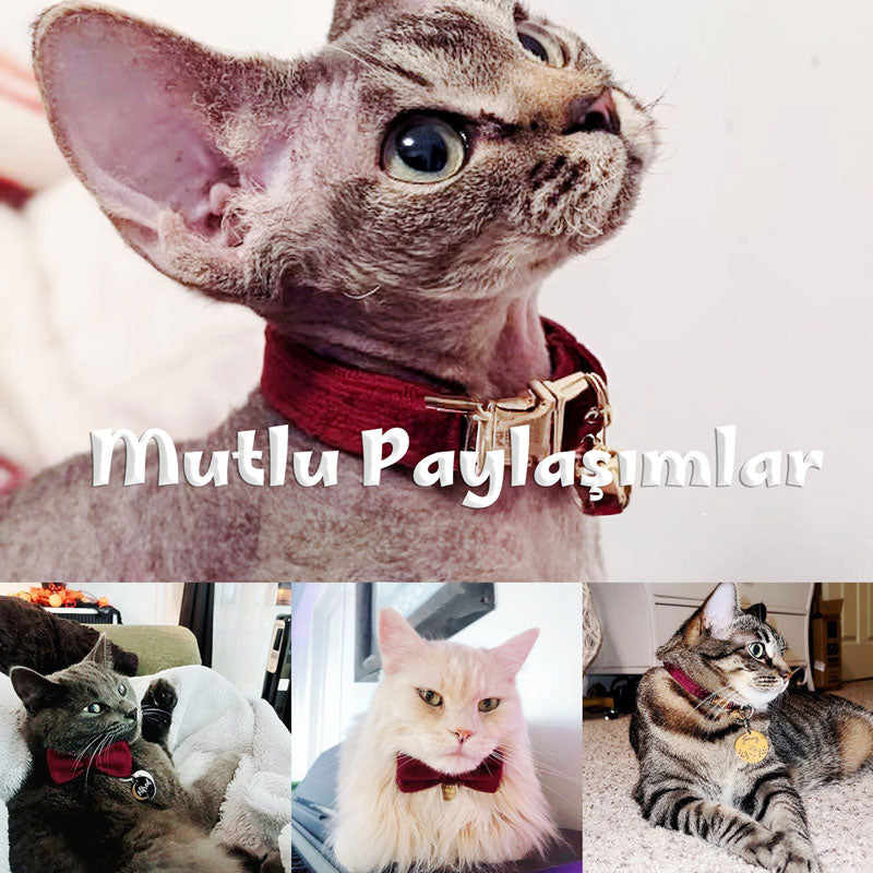 Kedi tasması isimli Zilli kedi tasma 745094
