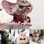Kedi tasması İsimli Zilli Kedi boyun tasması 745094