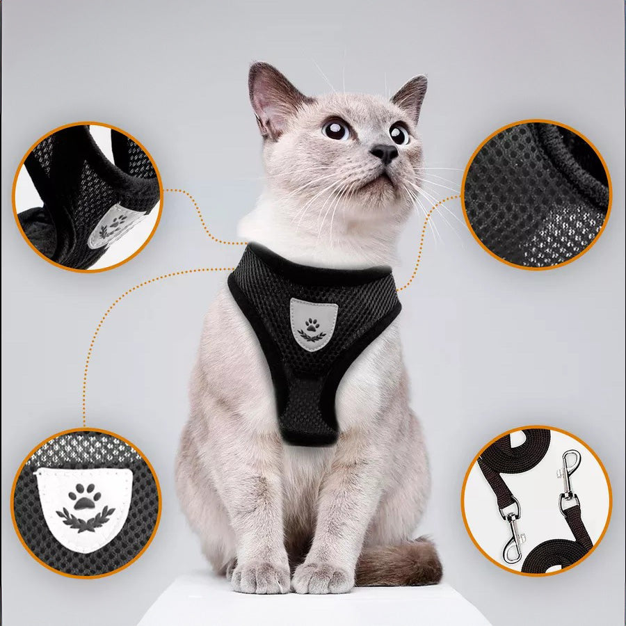 Kedi gezdirme tasması SET 16717568