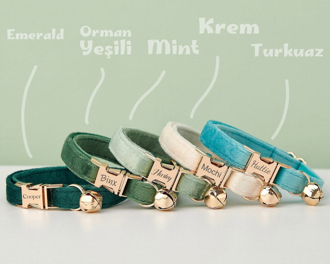 Kedi tasması Kadife İsimli Zilli 59174