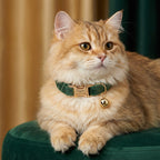 Kedi tasması Kadife İsimli Zilli 40068