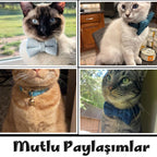 Kedi tasması Kadife İsimli Zilli 81166