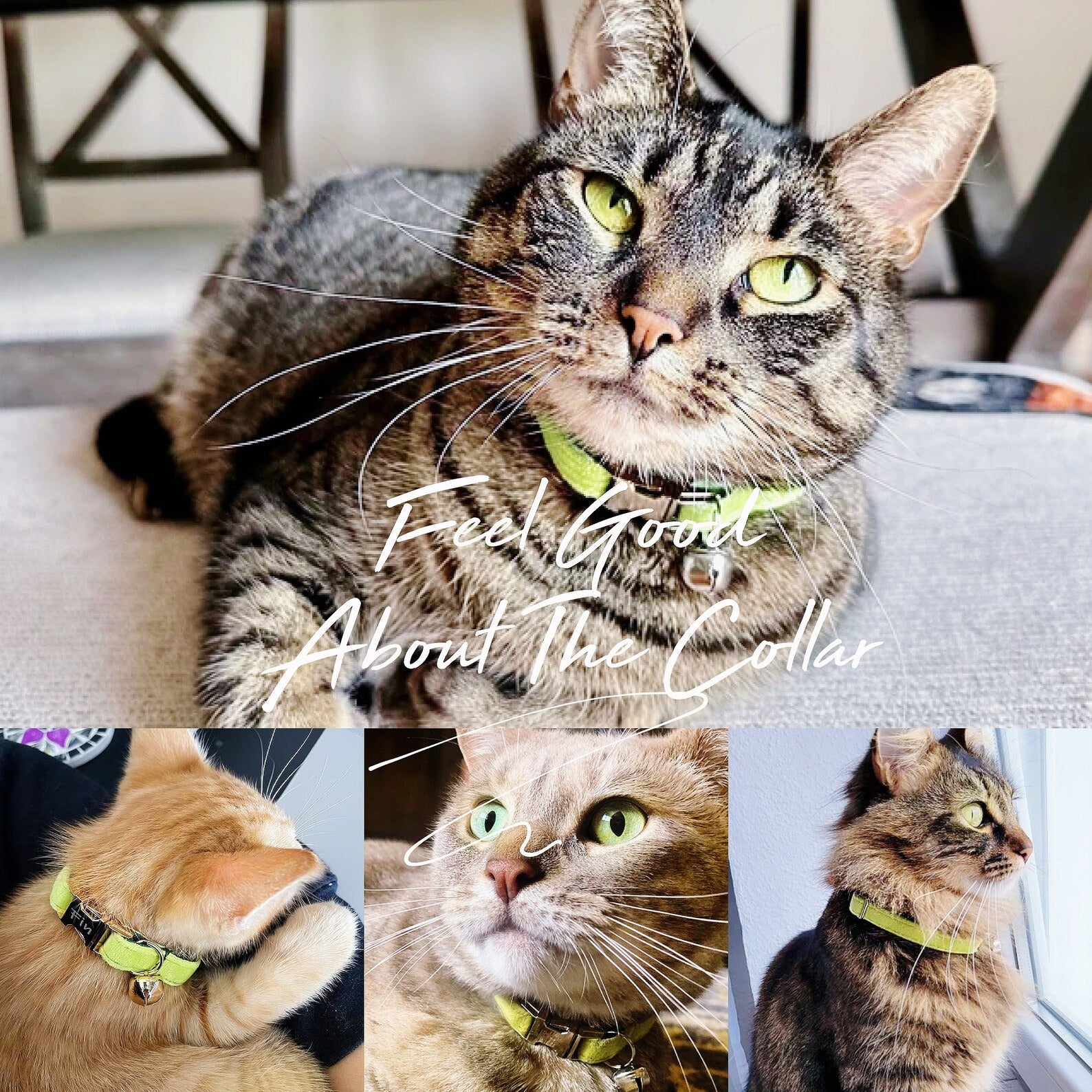 Kedi tasması Kadife İsimli Zilli Kedi Tasma 649724