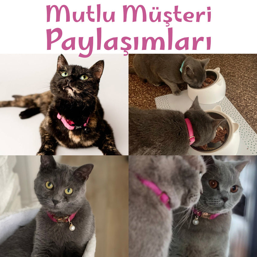 Kedi tasması isimli Zilli Kedi Tasma 60959