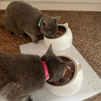 Kedi tasması Kadife isimli Zilli Kedi Tasma 015263