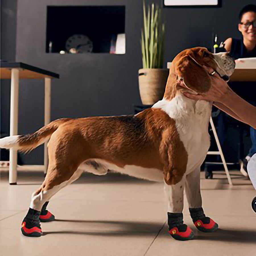Köpek Ayakkabısı Reflective 32040