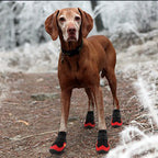Köpek Ayakkabısı Reflective 32040