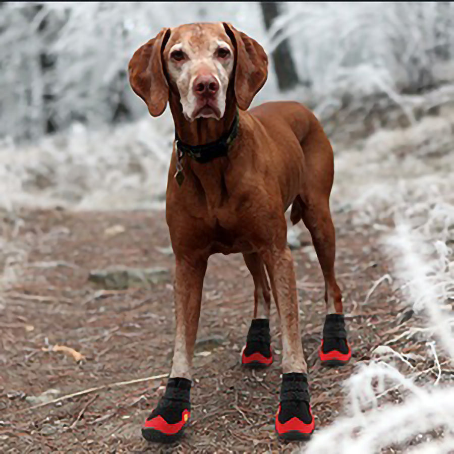 Köpek Ayakkabısı Reflective 32040