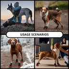Köpek Ayakkabısı Reflective 32040