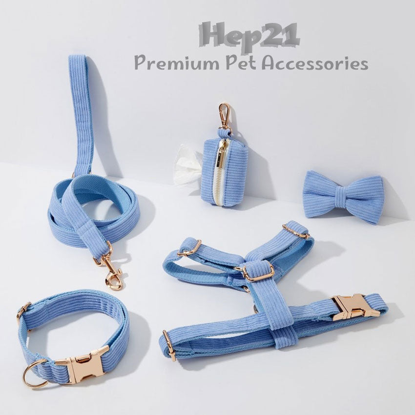 Köpek Boyun Tasması İsimli Açık Mavi 342928