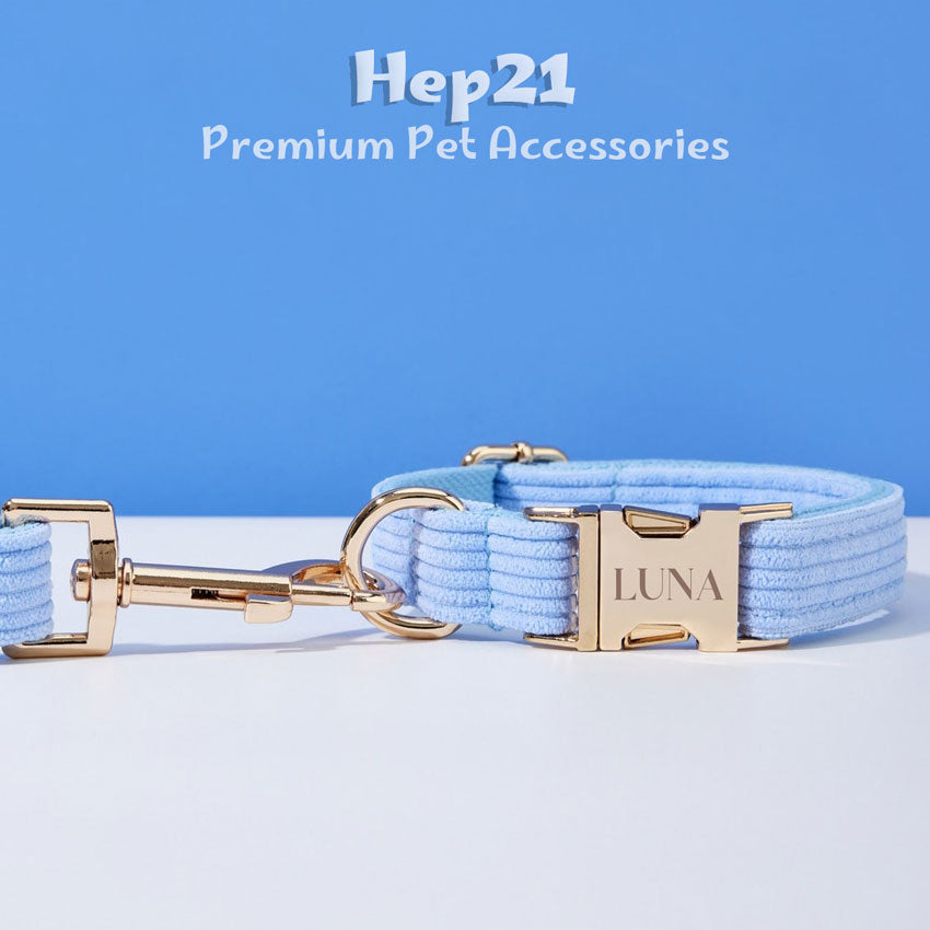 Köpek Boyun Tasması İsimli Açık Mavi 342928
