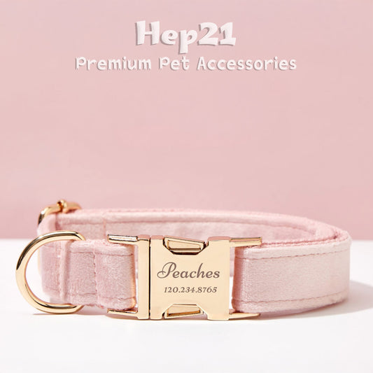 Köpek Boyun Tasması İsimli Açık Pembe Kadife 75044