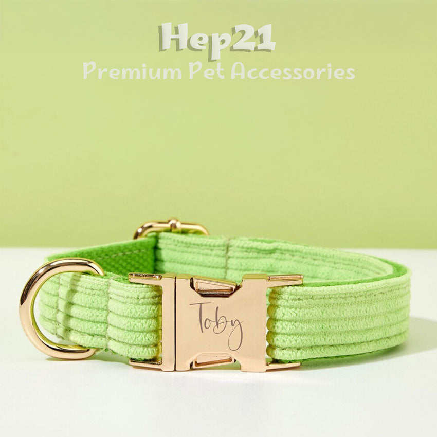 Köpek Boyun Tasması İsimli Açık Yeşil 446519