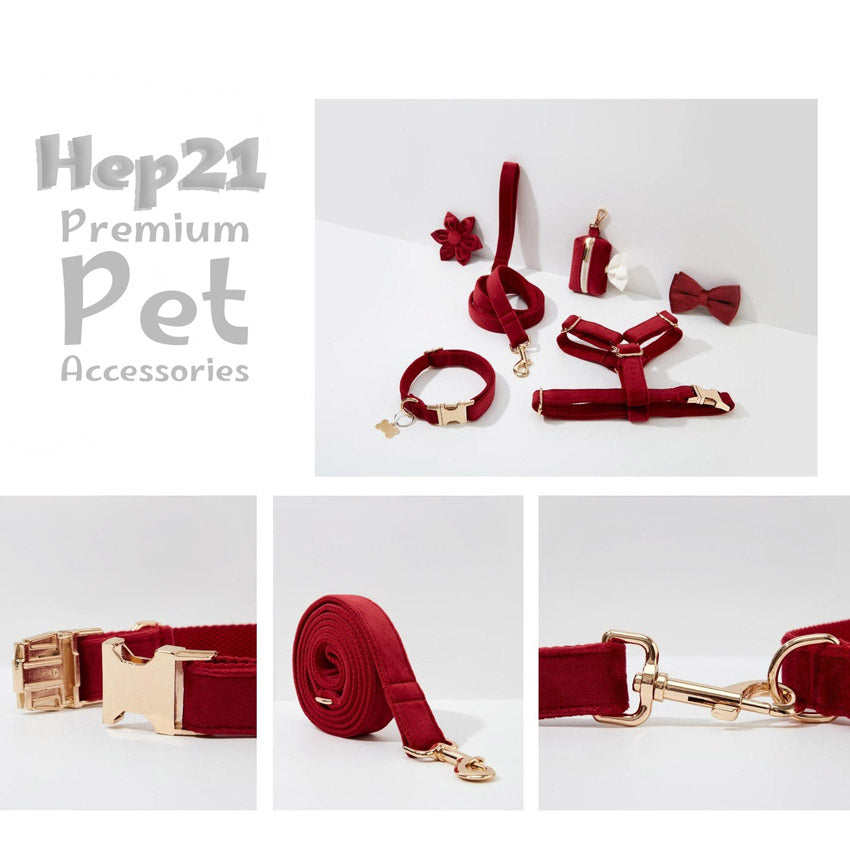 Köpek Boyun Tasması İsimli Bordo Kadife 492893