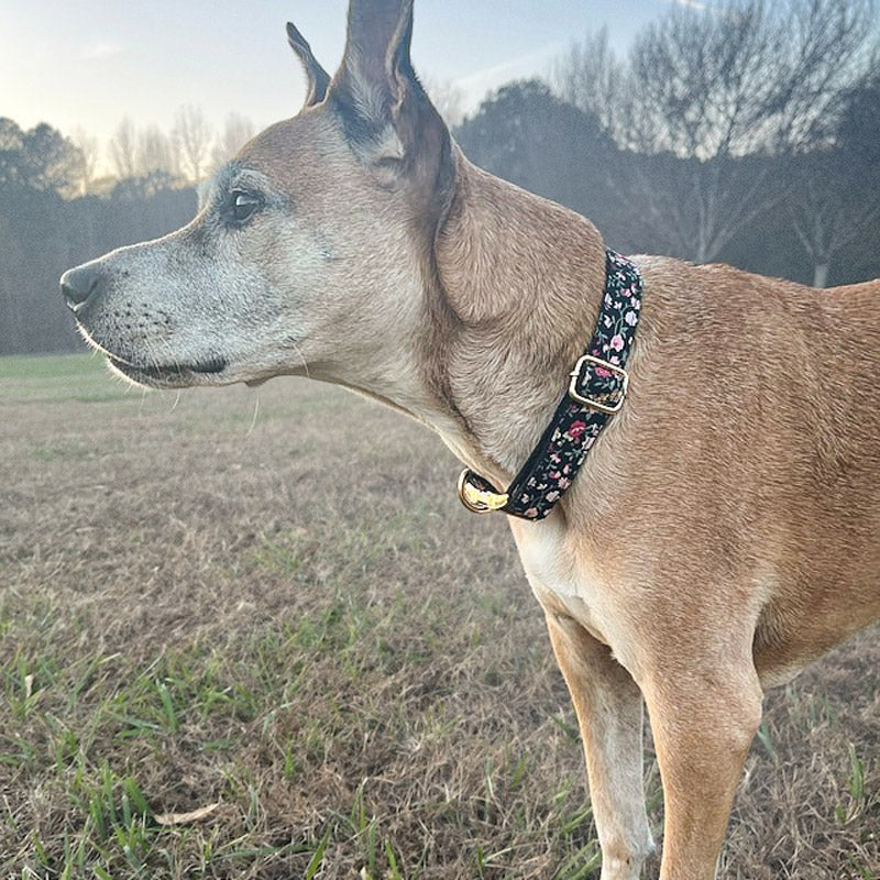 Köpek Boyun Tasması İsimli Çiçek Desenli 96835