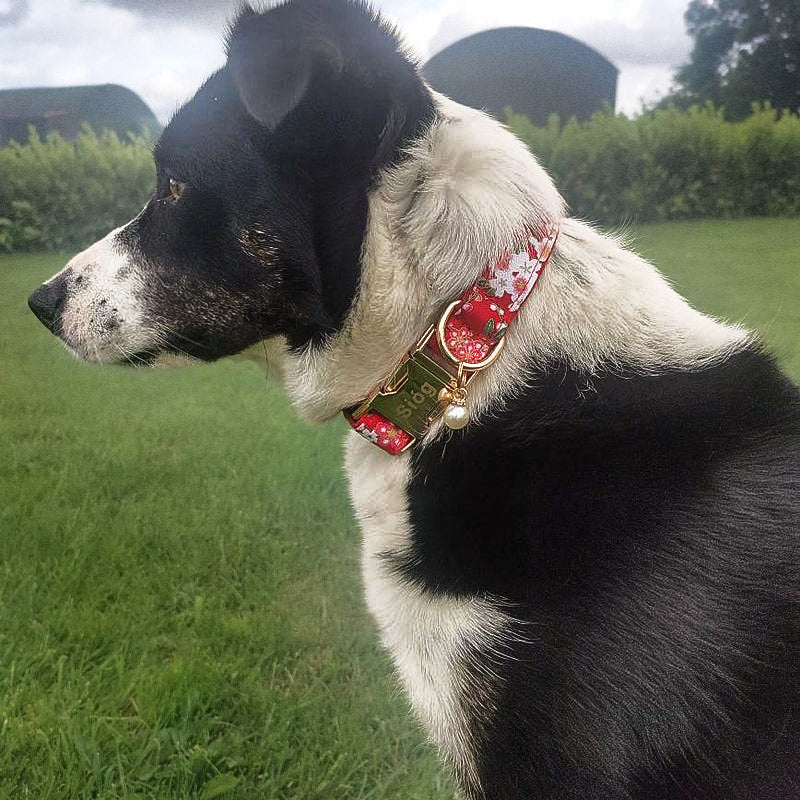 Köpek Boyun Tasması İsimli Çiçek Desenli 96835