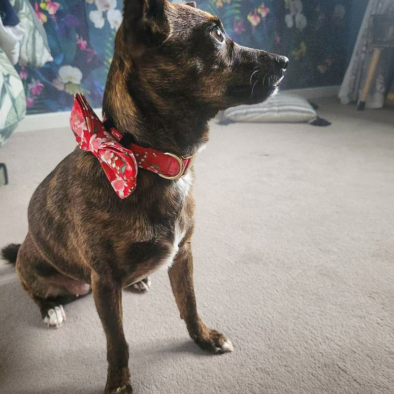 Köpek Boyun Tasması İsimli Çiçek Desenli 96835