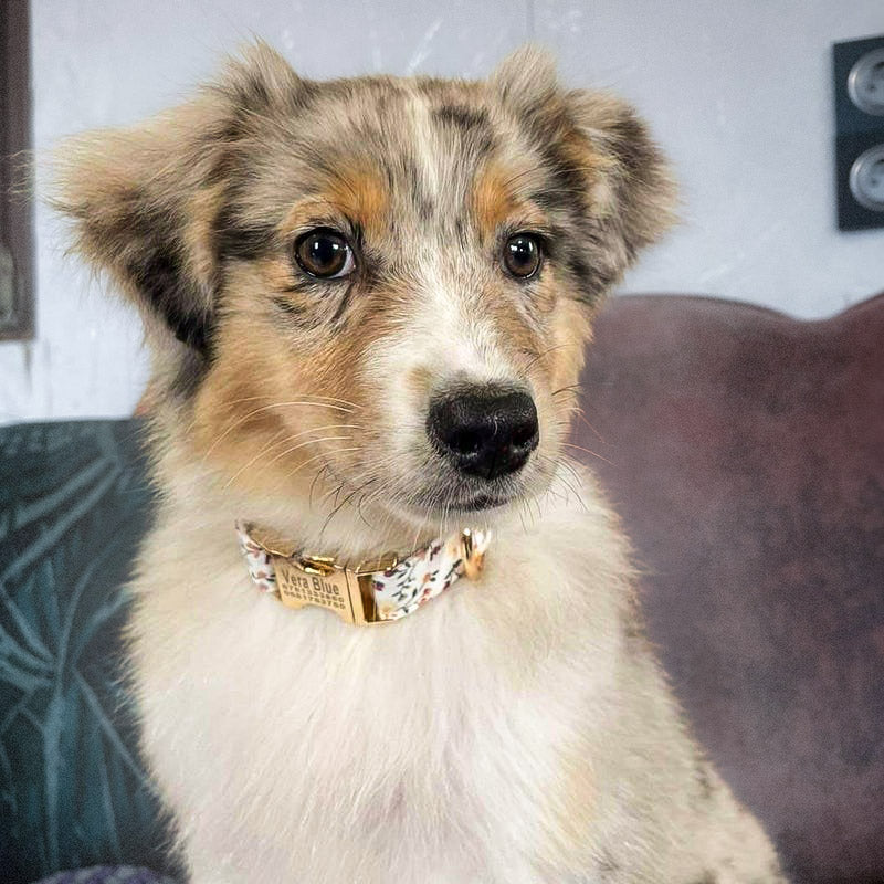 Köpek Boyun Tasması İsimli Çiçek Desenli 639066