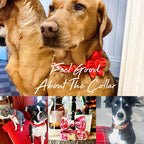 Köpek Boyun Tasması İsimli Çiçek Desenli 96835