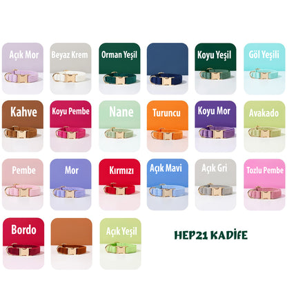 Köpek Boyun Tasması İsimli Açık  Mor 503813