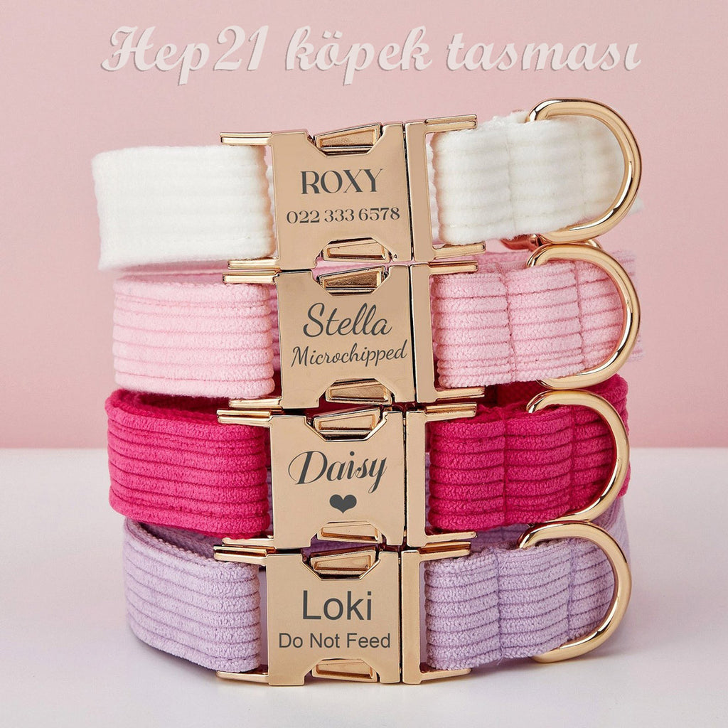 Köpek Boyun Tasması İsimli Fitilli Kadife 49548