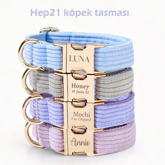 Köpek Boyun Tasması İsimli Fitilli Kadife 21952