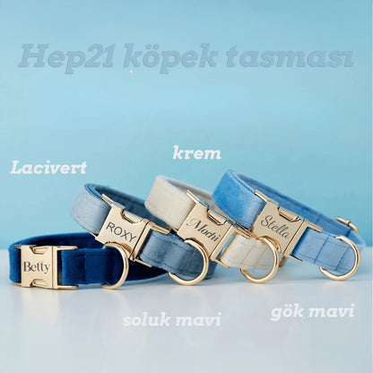 Köpek Boyun Tasması İsimli Kadife 595658